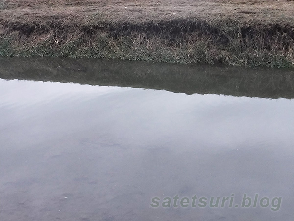 水位が下がってそこまで見えるナマズ釣り場