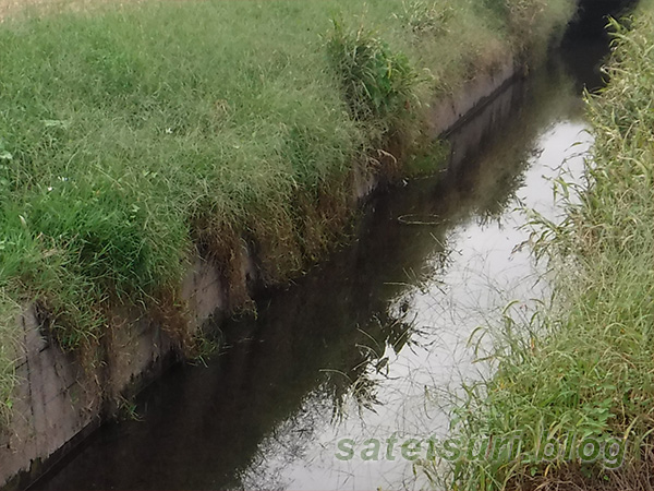 釣りをした用水路